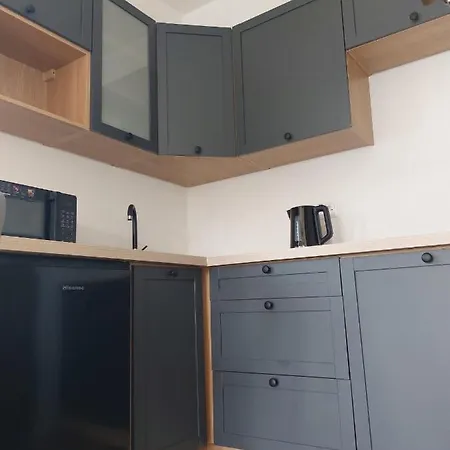 Topor Apartament Widokowy Z Placem Zabaw Koscielisko Exterior photo
