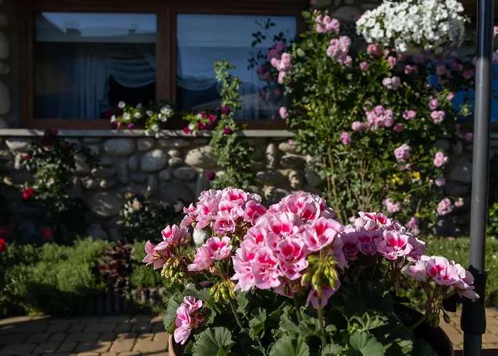 Topor Apartament Widokowy Z Placem Zabaw
